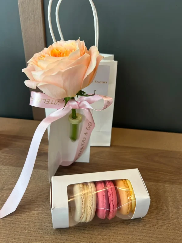 Cutie cu macarons și trandafir piersică