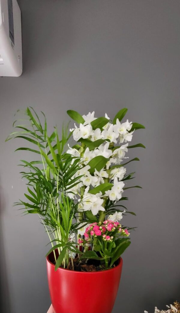 White Garden